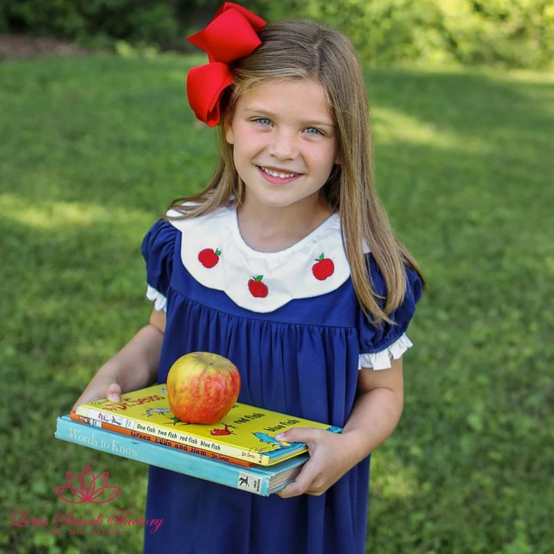 Back to School Outfit 2026 Apple Embroidered Dress Wholesale Smocked Clothing