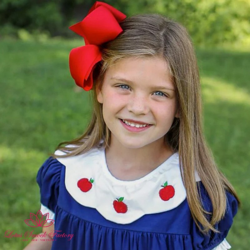 Back to School Outfit 2026 Apple Embroidered Dress Wholesale Smocked Clothing