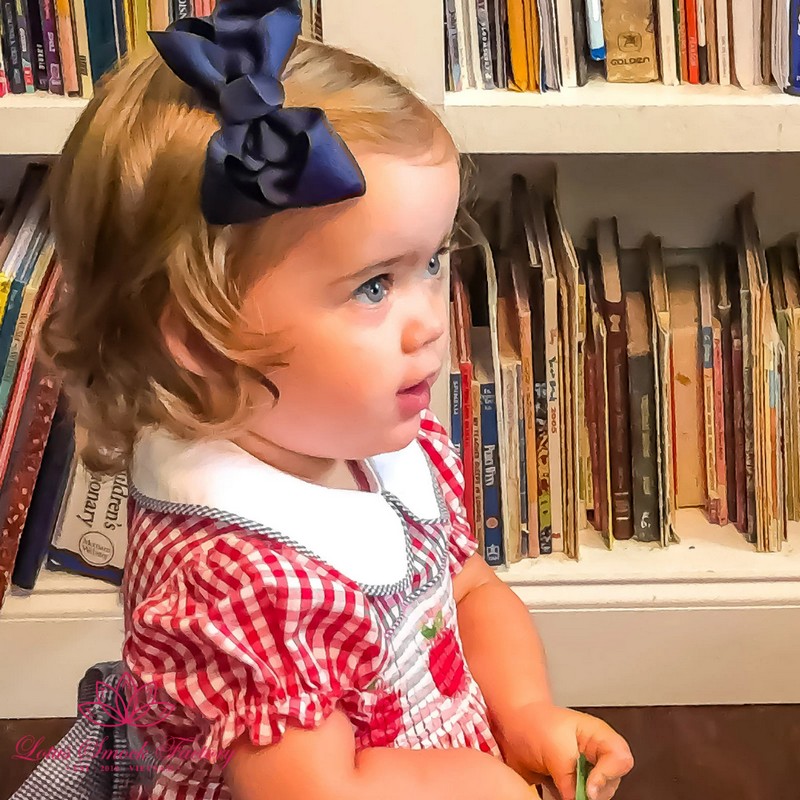 Back to School Outfit 2026 Red Gingham Apple Smocked Dress Wholesale Smocked Clothing