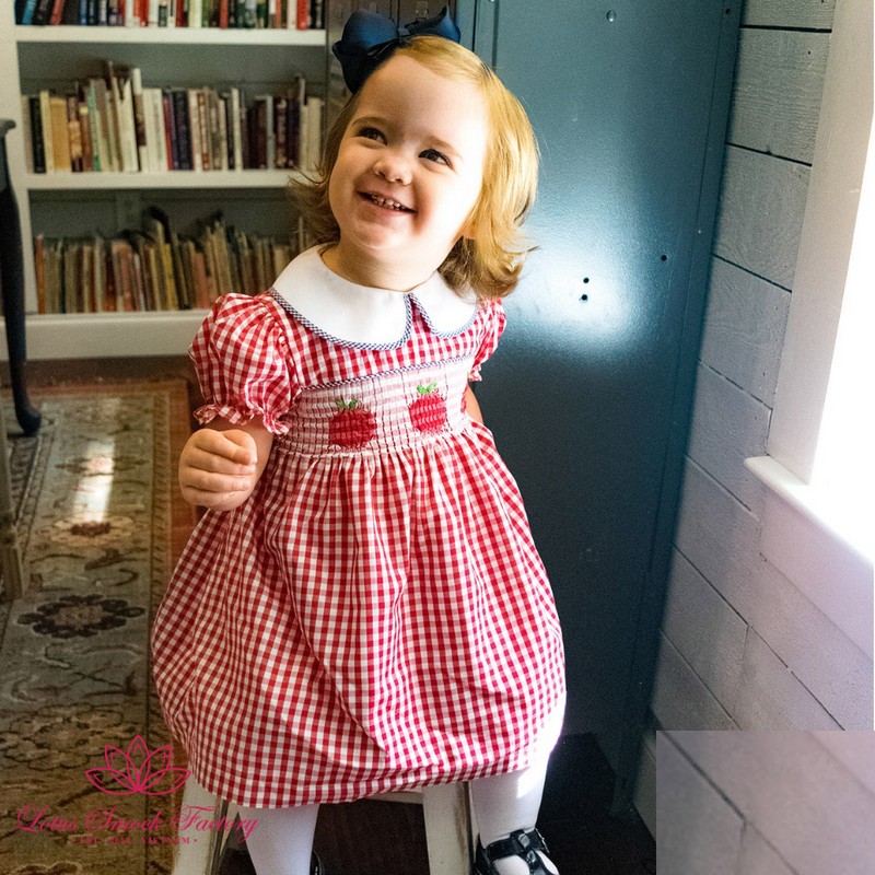 Back to School Outfit 2025 Red Gingham Apple Smocked Dress Wholesale Smocked Clothing