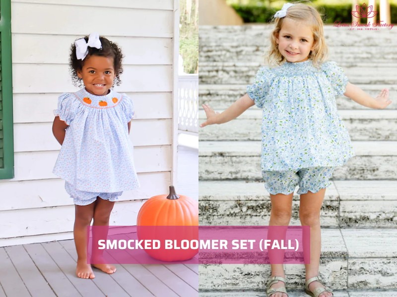 fall smocked outfit